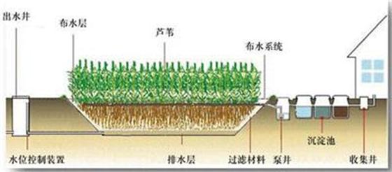 循環(huán)農(nóng)業(yè)如何促進(jìn)現(xiàn)代農(nóng)業(yè)發(fā)展?